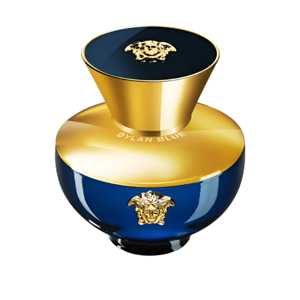 Versace Dylan Blue Femme Eau de Parfum 100ml | Women's Luxury Fragrance